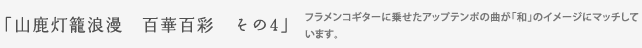 山鹿灯籠浪漫　百華百彩　その４